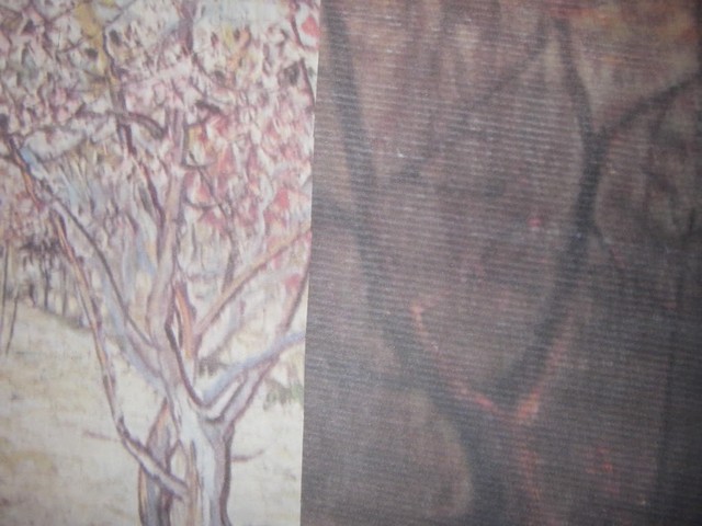 Peach Tree & Painting's Trunk, Limbs Comparisons Van Gogh