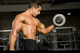 fgbgfb Get More Size With These Muscle Building