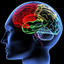 index - Brain signature of emotion-linked pain