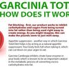   garcinia total diet