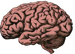 Exercise To Ones Brain Power Picture Box