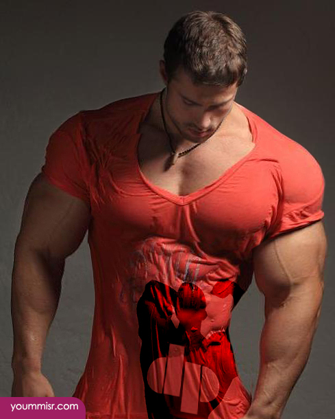 6 Week Muscle Building Program Picture Box