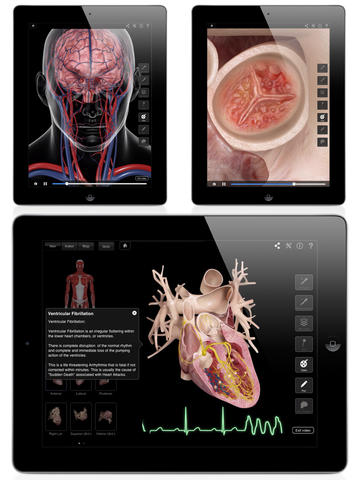 Cardiax 3N Pro Picture Box