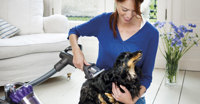 pet Vacuum Cleaner Types