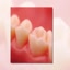 Private Dentists Perth | Sm... - Picture Box