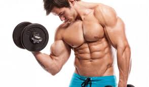 muscles by training Picture Box