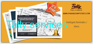 Authorized Tally service provider delhi  tally services