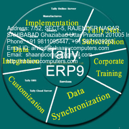 Tally ERP 9  tally services