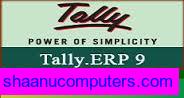 Tally integrators in Sahibabad  tally services