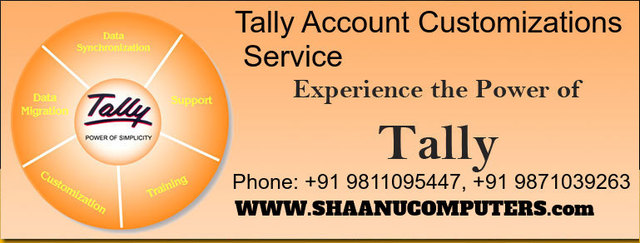 tally services    tally services