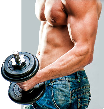 What Is Required For Hard Gainers To Construct Mus Picture Box