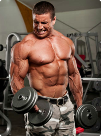 What Is Required For Hard Gainers To Construct Mus Picture Box