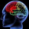 How does the brain interpret visceral pain