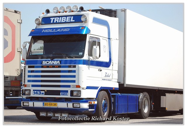 Tribel BD-NR-34 (1)-BorderMaker Richard