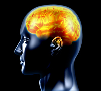 Leading 11 Tips To A Brain That Is Healthy Leading 11 Tips To A Brain That Is Healthy