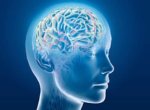 Techniques To Boost Brain Power Picture Box