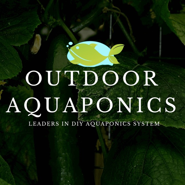Outdoor Aquaponics Picture Box