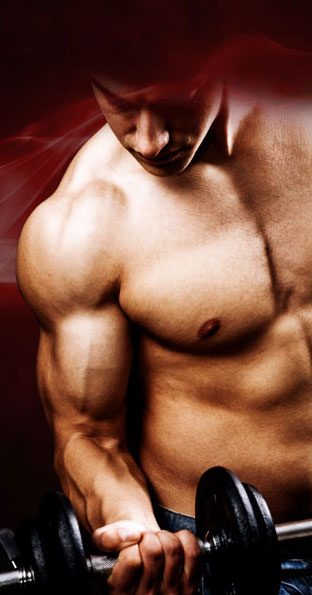 What Is Necessary For Gainers To Build Muscle? Picture Box