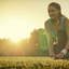 Early-morning-female-runner - Picture Box