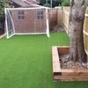 artificial grass - Picture Box