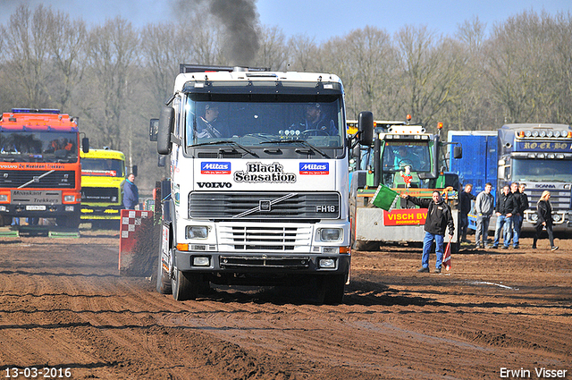 13-03-2016 Loosbroek 046-BorderMaker 13-03-2016 Loosbroek