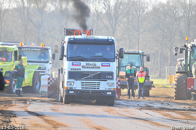 13-03-2016 Loosbroek 258-BorderMaker 13-03-2016 Loosbroek