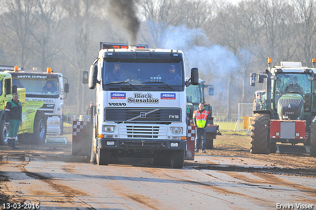 13-03-2016 Loosbroek 259-BorderMaker 13-03-2016 Loosbroek