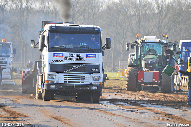 13-03-2016 Loosbroek 261-BorderMaker 13-03-2016 Loosbroek