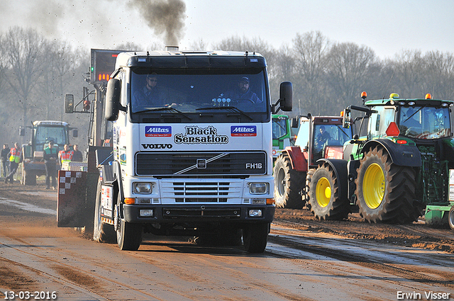 13-03-2016 Loosbroek 266-BorderMaker 13-03-2016 Loosbroek