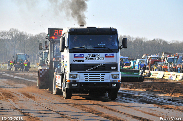 13-03-2016 Loosbroek 268-BorderMaker 13-03-2016 Loosbroek