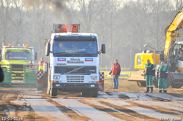 13-03-2016 Loosbroek 391-BorderMaker 13-03-2016 Loosbroek