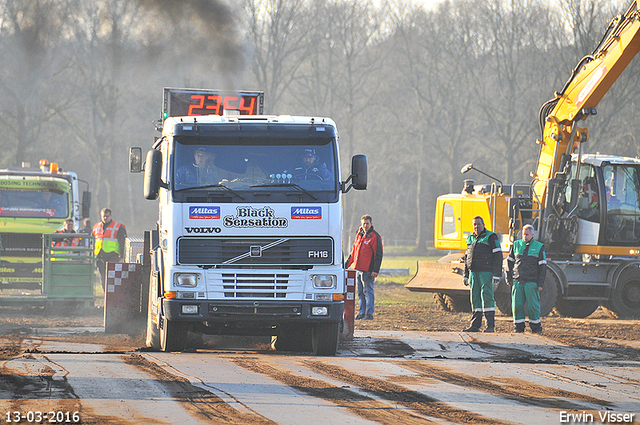 13-03-2016 Loosbroek 392-BorderMaker 13-03-2016 Loosbroek