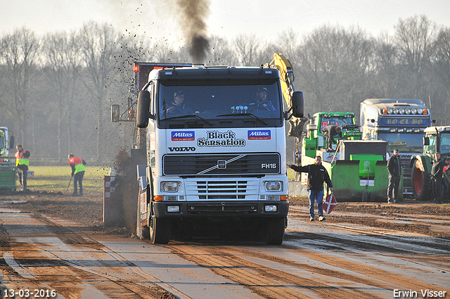 13-03-2016 Loosbroek 399-BorderMaker 13-03-2016 Loosbroek