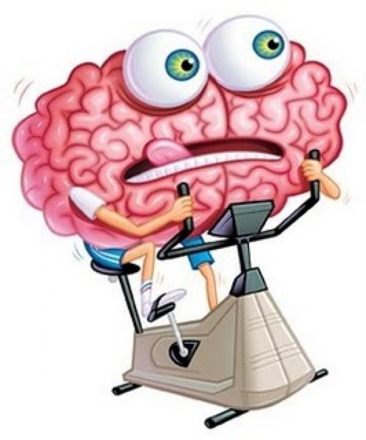 http://brainammoadvice Picture Box