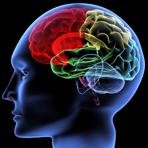 Intellux Memory Enhancer
