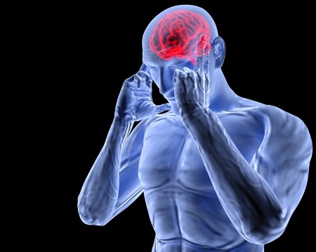 brain-pain http://www.healthyminimag.com/synapsyl-reviews/