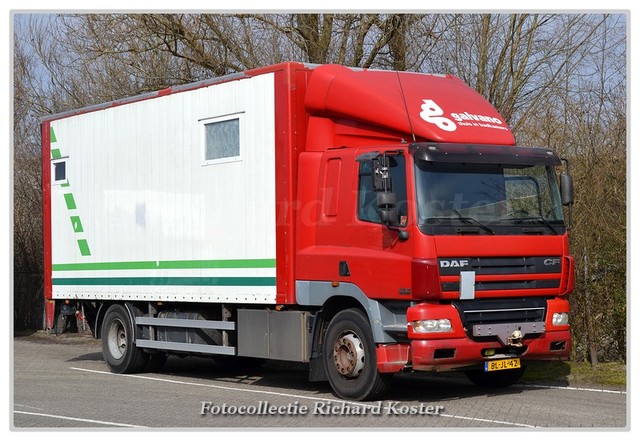 Onbekend BL-LJ-42 (1)-BorderMaker Richard