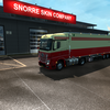 ets2 Mercedes Actros MP4 + ... - prive skin ets2