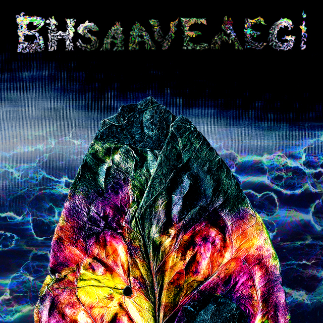 bhsaaveaegi cover Picture Box