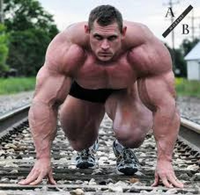 greatest-bodybuilding-chest-workout 1  http://musclebuildingproducts.info/b21-testosterone-booster/
