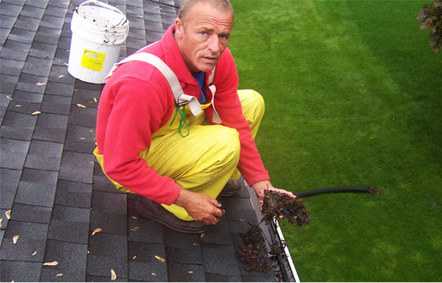 Roof Cleaning Service in Madison Madison Window Services 