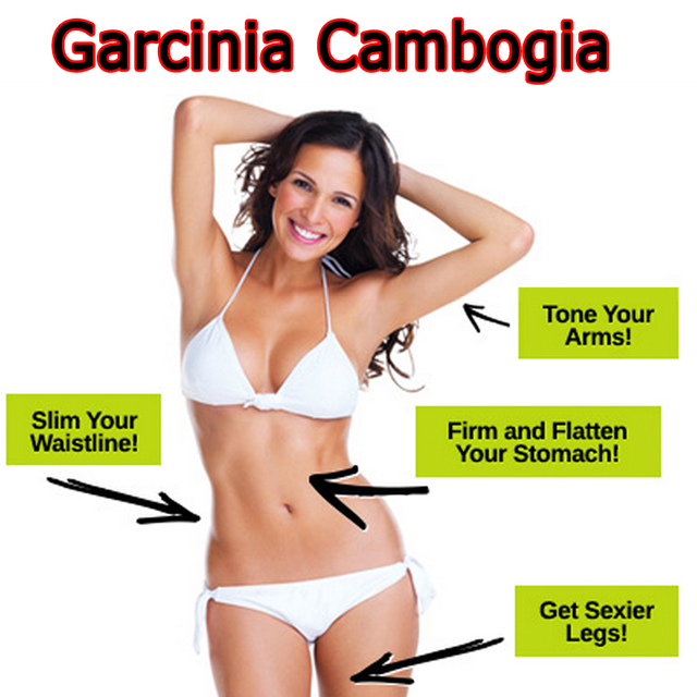 2-bottles-abc-pure-garcinia-cambogia-extracts-slim Remove Extra Fat  With Flawless Garcinia Cambogia