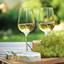 1 Day French Wine Tours - Short Rhone Wine Tours