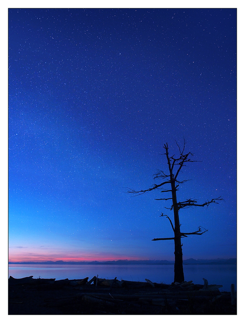 Kin Beach Stars 001 Landscapes