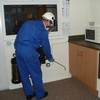 pest control service kitchen - Pest Control Orilla