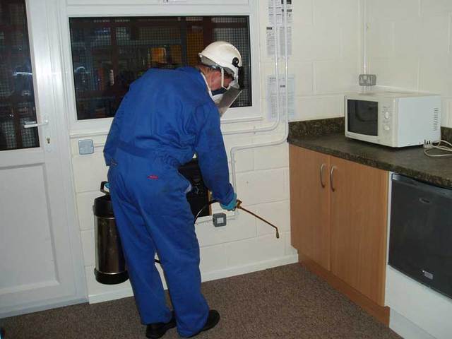pest control service kitchen Pest Control Orilla