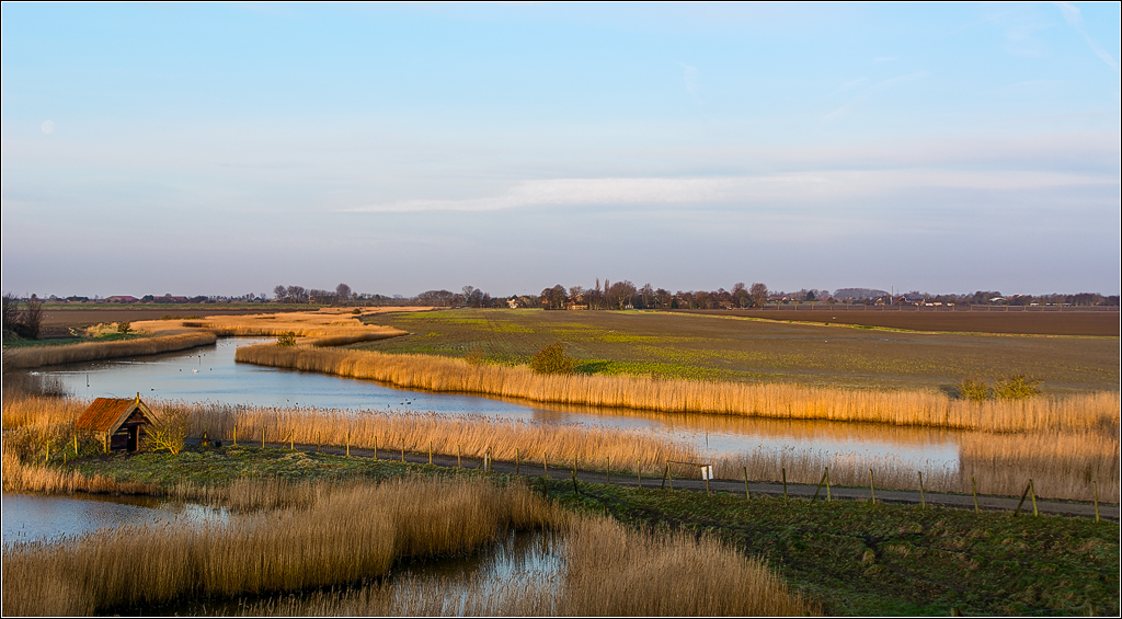  DSC2962 Golden lines - 