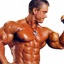bodybuilding Muscle - Picture Box
