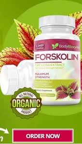 download Body Bloom Forskolin Can Make Your Fit 