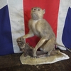 Antique Old 1930s Macaque M... - BYgones